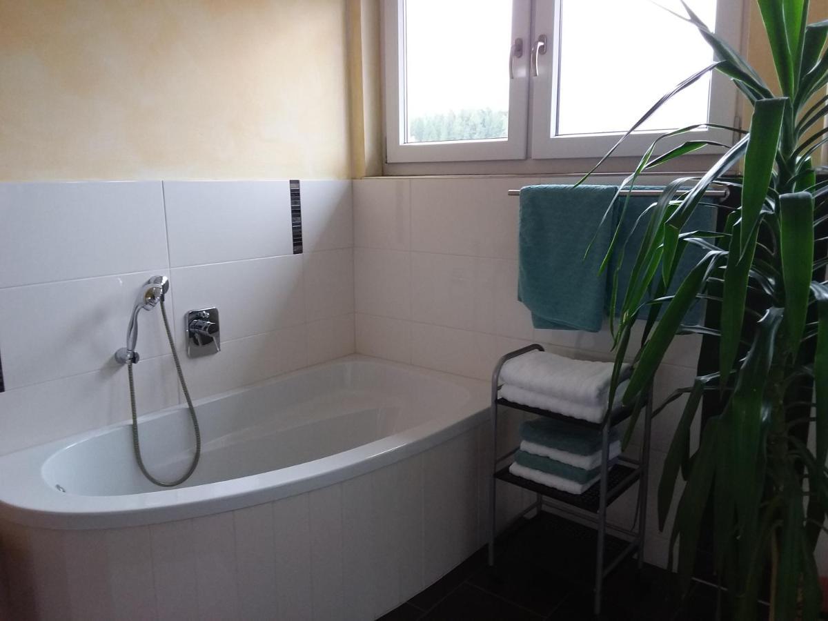 Ferienwohnung Dachs Zachenberg Buitenkant foto