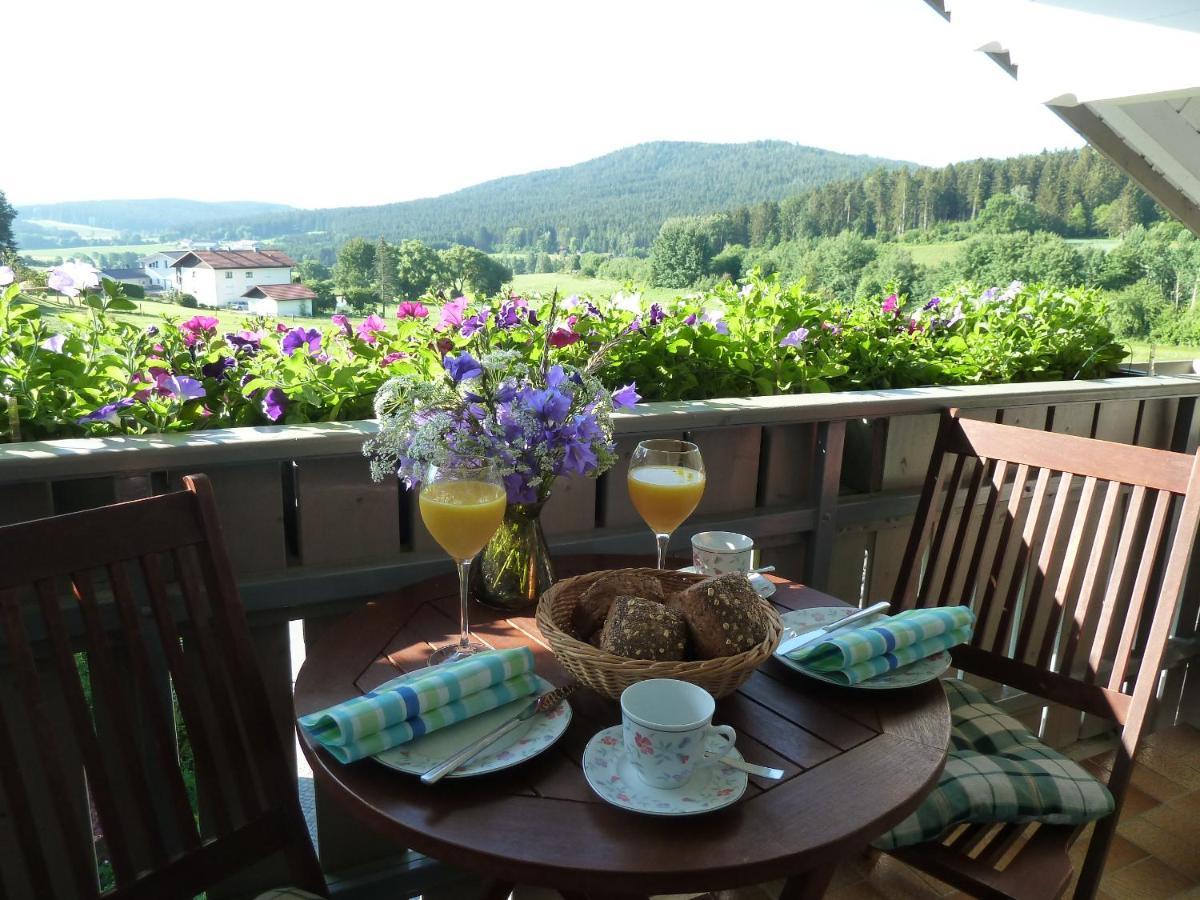 Ferienwohnung Dachs Zachenberg Buitenkant foto