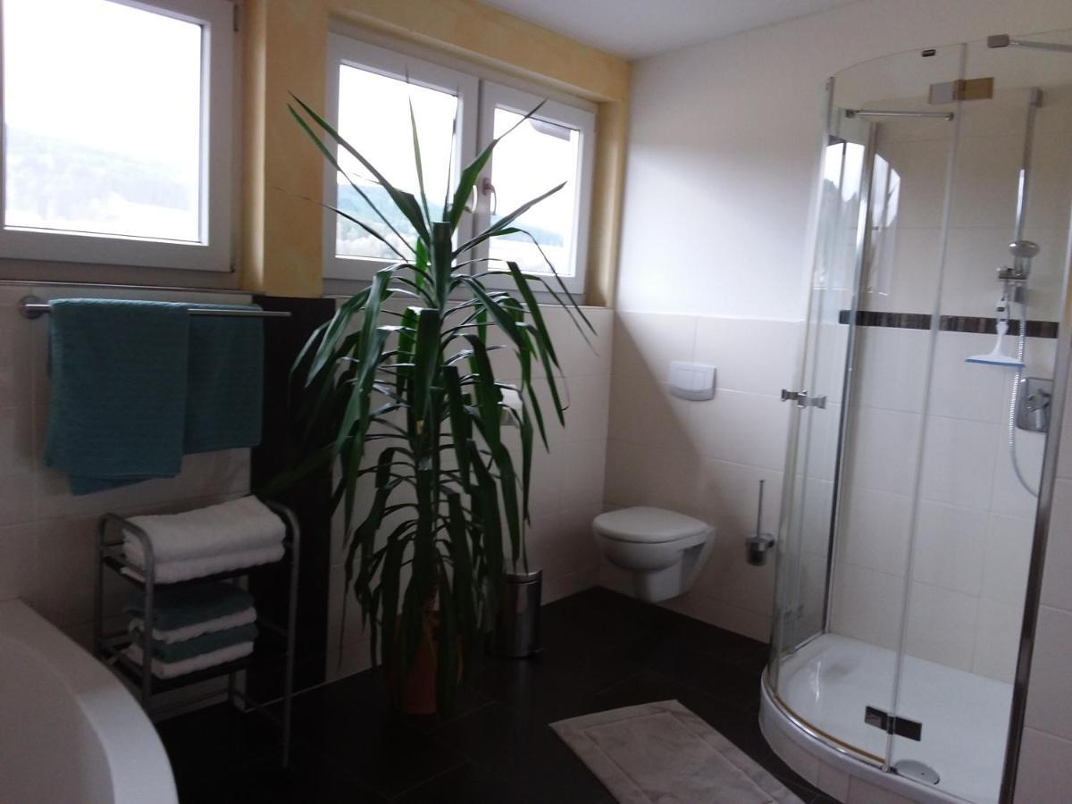 Ferienwohnung Dachs Zachenberg Buitenkant foto