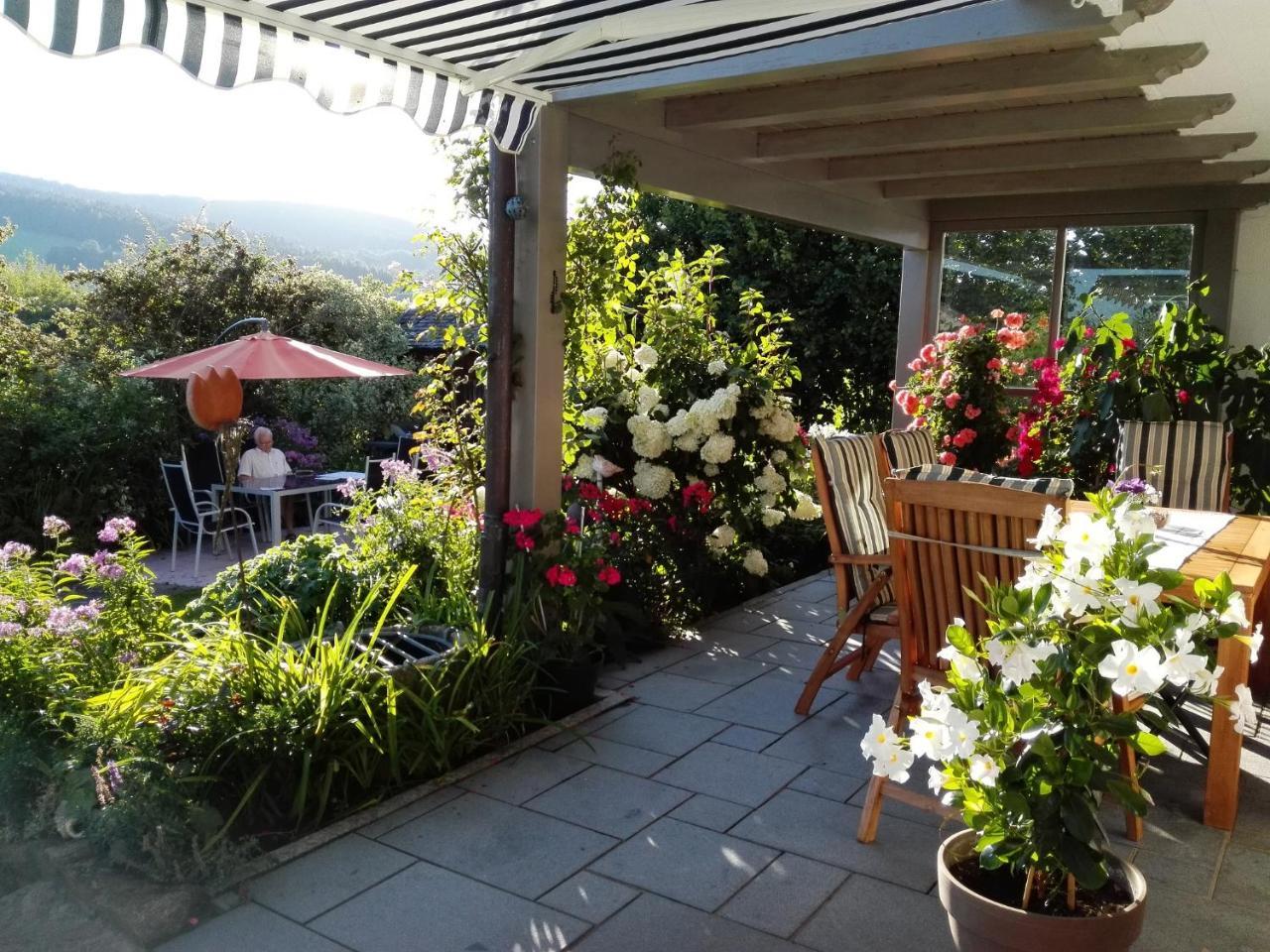 Ferienwohnung Dachs Zachenberg Buitenkant foto