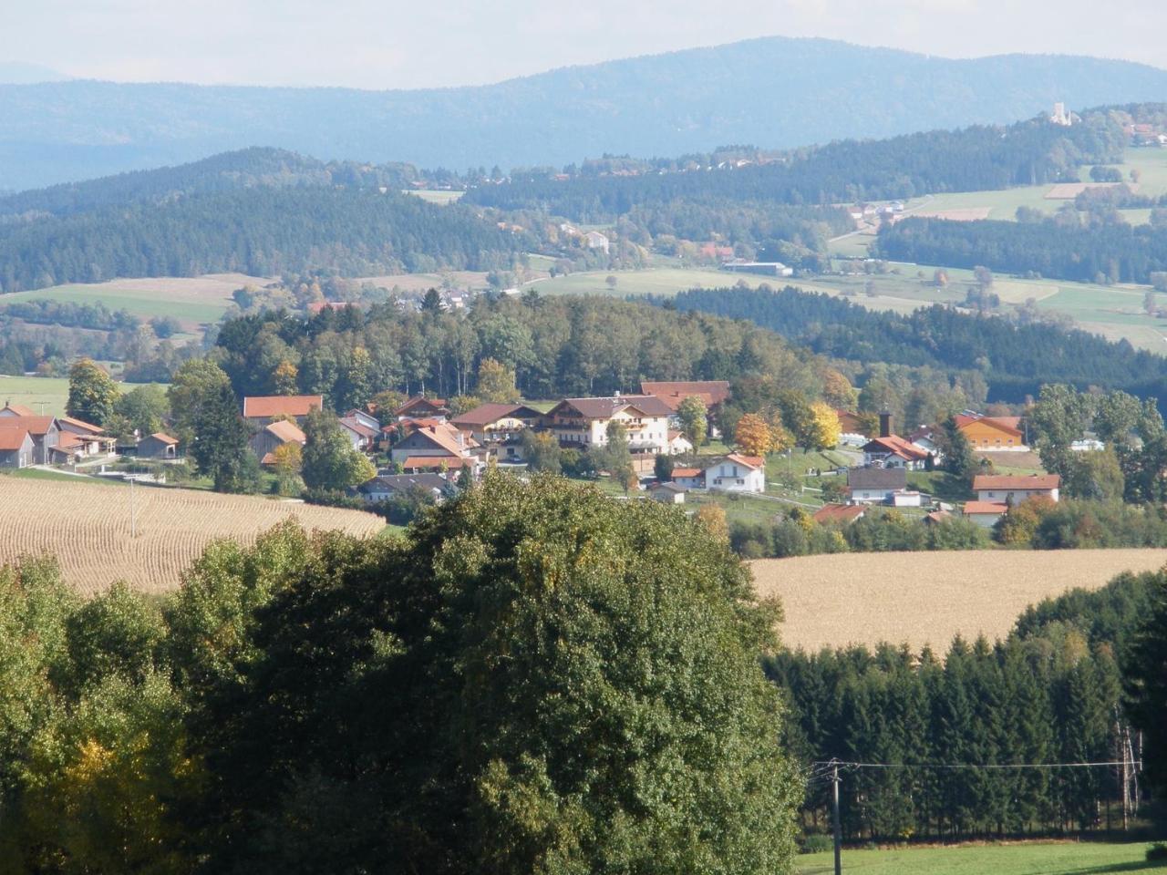 Ferienwohnung Dachs Zachenberg Buitenkant foto